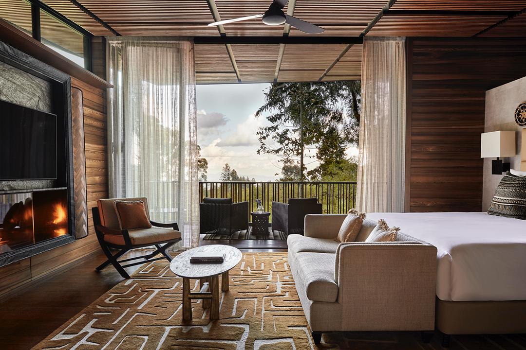 one_and_only_gorilla's_nest