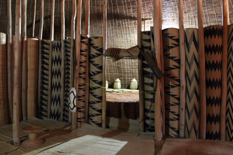 Chimpanzee trekking & Gorilla trekking experience