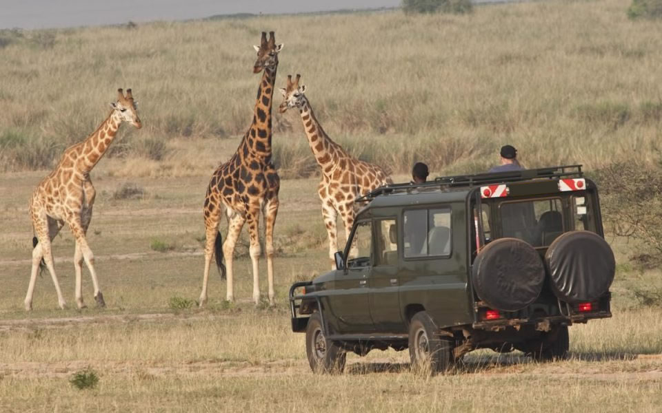 Rwanda safari adventure