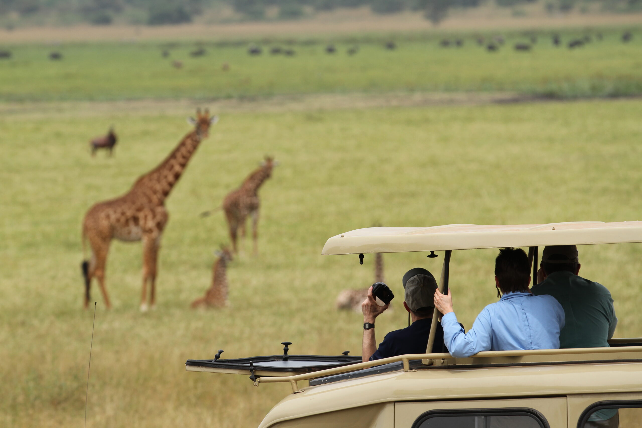 Akagera National Park wildlife safari experience (home of big five))