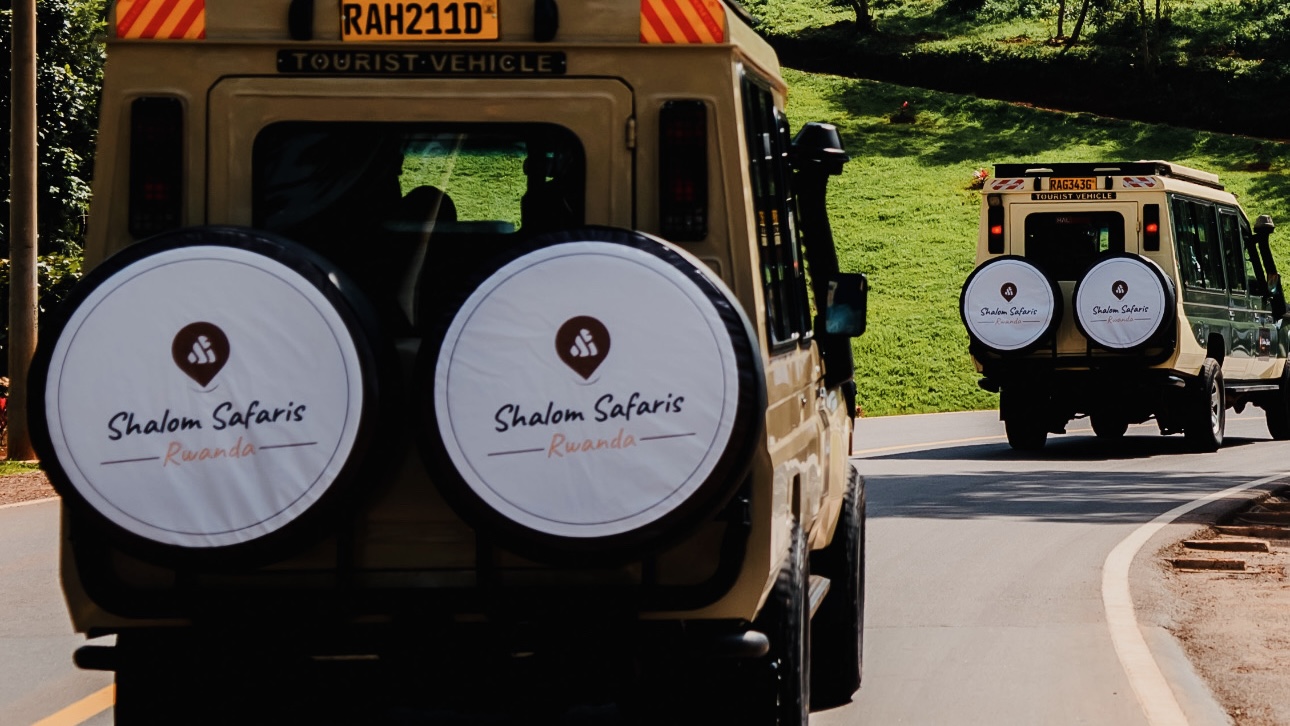 Ultimate Gorilla and Golden Monkey trekking experience